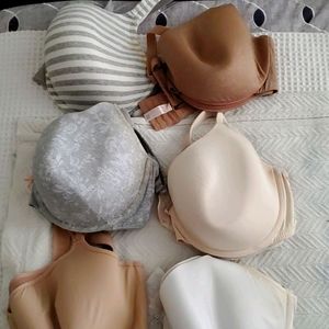 5 Lane Bryant Bras